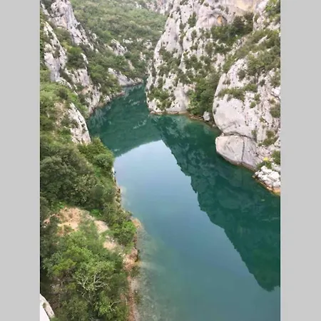 Petit nid dans le Verdon